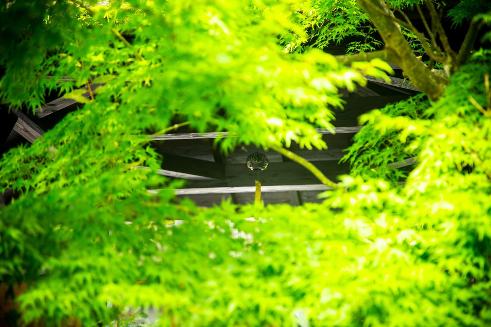 료칸 여명 旅館 黎明 Ryokan Reimei Yufu Zewnętrze zdjęcie